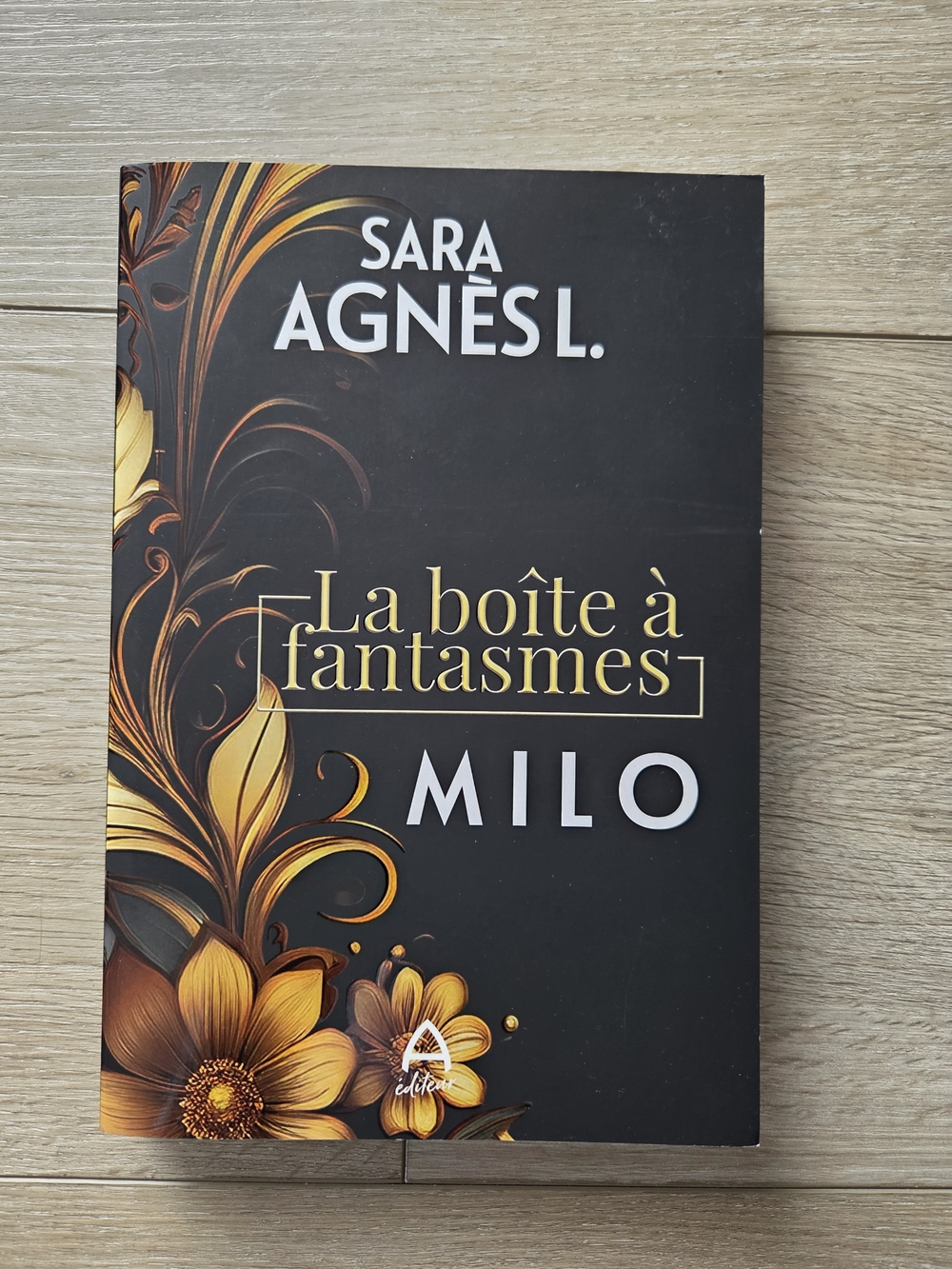 La boîte à fantasmes - Milo